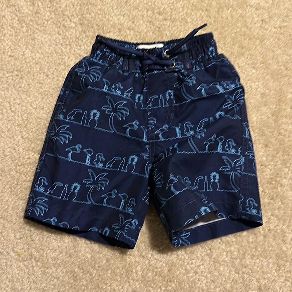 Beach bros boys lined swim suit size 2T - Picture 1 of 4